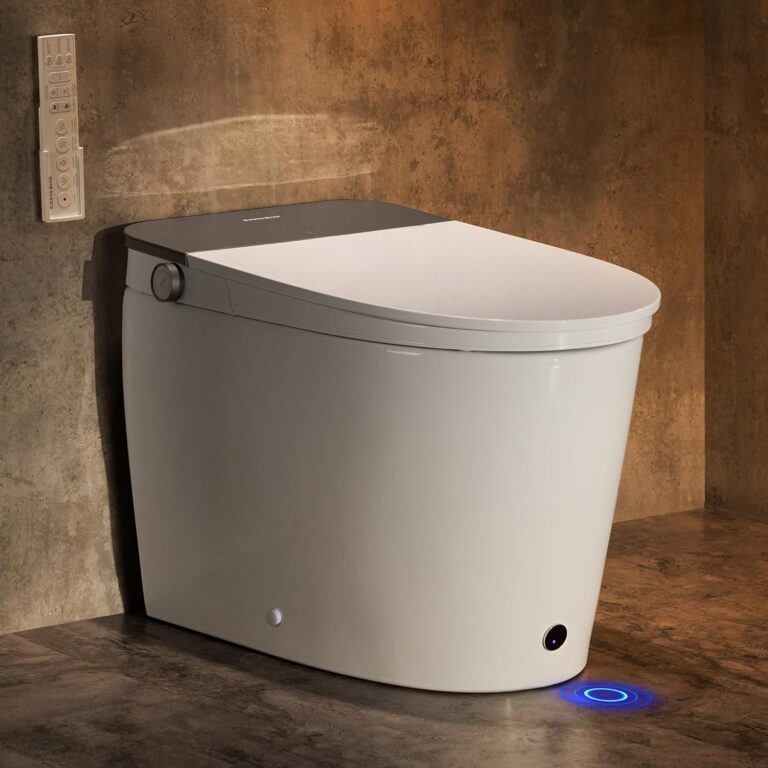 Image 1 of Casta Diva CD-K030 smart toilet review