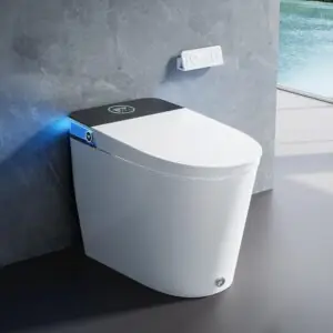 Image 1 of HOROW T38P smart bidet toilet review